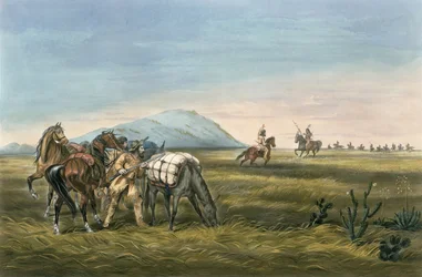 Eine Unterredung, Bereit für einen Notfall, 1866